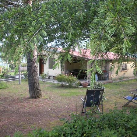Le Stagioni Guest House Лорето Апрутино Екстериор снимка